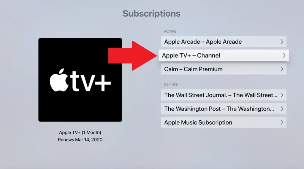 Cancel Apple TV Subscription