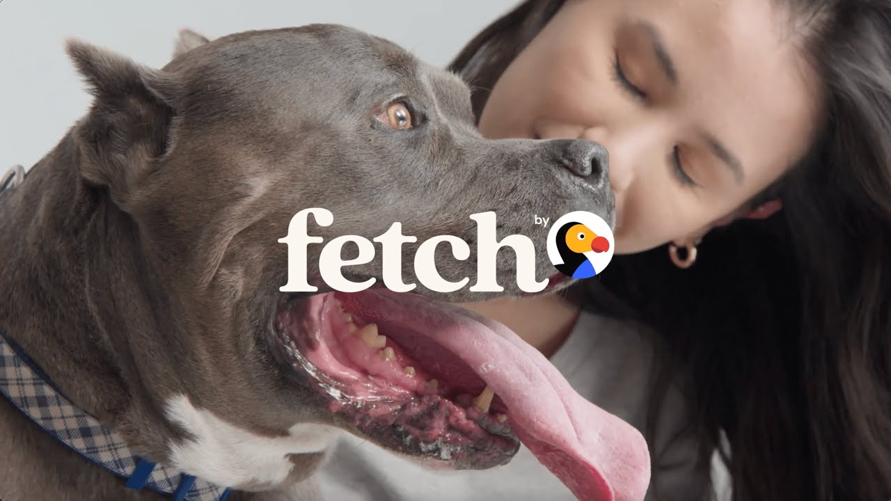 How To Cancel Fetch Pet Insurance