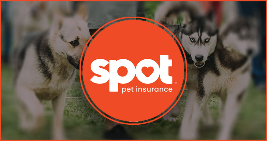 How To Cancel Spot Pet Insurance?