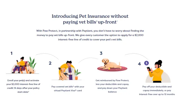 How Can You Cancel Paw Protect Pet Insurance- How To Cancel Paw Protect Pet Insurance Via Email?